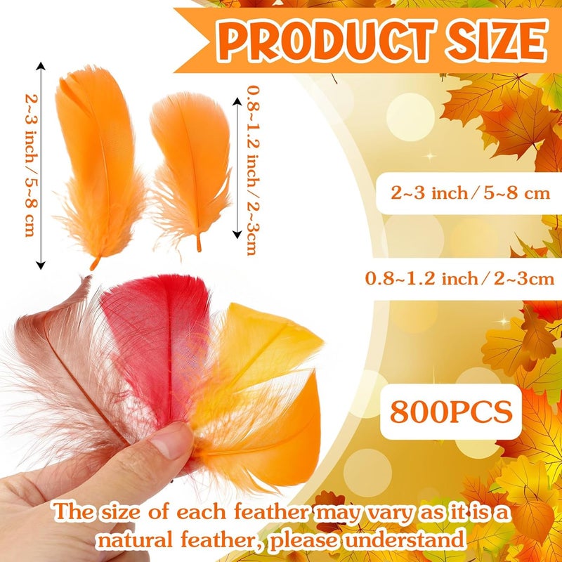 Lyrow Store 800 Pcs Thanksgiving Fall Feathers DIY Craft Color Feathers Dream Catcher Decoration Natural Fluffy Dress up Party Decoration, 2-4 Inches (Bright Color) - Image 2
